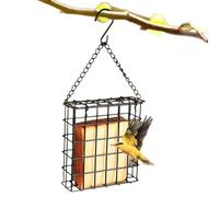 Mangiatoia Per Da Esterno - Distributore A Gabbia In Rete | Mangiatoia Sospesa Per Giardino Balcone E Terrazzo | Osservazione Selvatici Per Cortile E Portico Kit