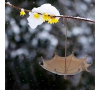 Mangiatoia per uccelli dal design rustico, piccolo ombrello da bagno per uccelli 2 in 1, per attirare gli uccelli nel tuo spazio esterno con facilità