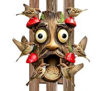 Mangiatoia per uccelli esterna Decorazione da giardino con faccia buffa