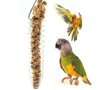 Mangiatoia per uccelli, Mangiatoia per criceti foraggiamento naturale simulato, Mangiatoia per pappagalli in acciaio inossidabile, Mangiatoia per uccelli anti-scoiattolo, Mangiatoia per uccelli in