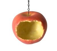 Mangiatoia per uccelli, mangiatoia per uccelli da esterno,Supporto per alimenti per uccelli da giardino per esterni - Mangiatoia per uccelli pulita e di grande capacità con forma di frutta, supporto