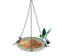 Mangiatoie Per Uccelli per Esterno - Bevitoio Grande in Ferro Appendibile | Mangiatoie Corvi Da Esterno | Per Giardino Balcone Terrazzo Attira per Osservazione