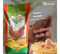 MANGIME COMPLETO PER GALLINE OVAIOLE 20 KG - GALTIERI