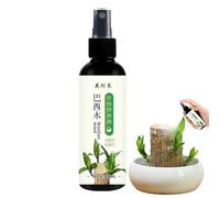 Mangime per piante da interno - Liquido 100ml Nutriente speciale idroponico Brazil Wood | Fertilizzante, soluzione nutritiva Crescita bonsai di verde | Balcone del giardino