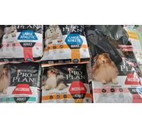 Pro Plan Medium Adult Optidigest Pollo: 14 kg