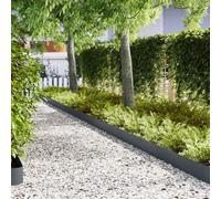 Mangloder - Bordo per prato, 50 pezzi, antracite, 100 x 0,05 x 20 cm, resistente alle intemperie, per aiuole, sentieri e terrazze, bordi durevoli per giardino, aiuole di fiori, ortaggi, aiuole