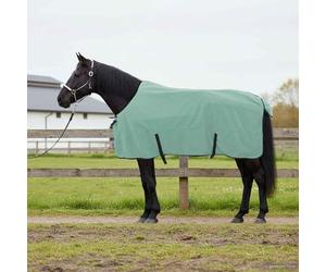 Mangloder Coperta per cavalli, verde speciale, 165 cm, in poliestere, traspirante, impermeabile, coperta invernale per stalla e pascolo, con collo regolabile, peso leggero e materiale durevole per un