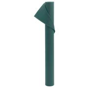 Mangloder - Tessuto non tessuto invernale, 2 rotoli, 70 g/m², 10 x 1,6 m, tessuto non tessuto in polipropilene, verde, traspirante, antistrappo, per la cura del giardino, per aiuole rialzate, serra