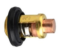 MANGRY Termostato 66M-12411-00 Adatto for Motore fuoribordo Yamaha 4 Tempi F 40 50 60 80 100 HP 66M-12411-01 66M-12411