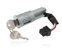 MangWany Neiman Lucchetto di accensione con cilindro compatibile per Renault R4 (4L) R6 R12 (1961-1992)