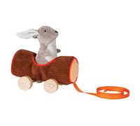 Manhattan Toy Camp Acorn Soft Log e Bunny Baby Pull Toy