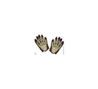 Mani guanti Scheletro Morte 3D Fluo Bambino Halloween Feste