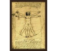Manica Ibrida Leonardo Da Vinci Uomo Vitruviano GIAPPONE UFFICIALE