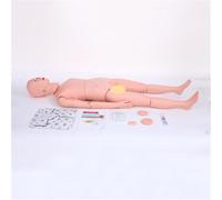 Manichino anatomico a grandezza naturale, manichino per addestramento medico, manichino per assistenza ai pazienti, modello umano anatomico in PVC, per studenti, formazione infermieristica,Female