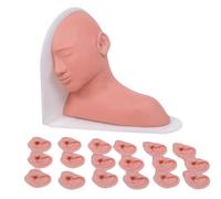 Manichino anatomico dell'orecchio umano - Modello di insegnamento avanzato per professionisti medici, ispezione e trattamento del labirinto dell'orecchio nel corpo umano