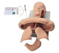 Manichino avanzato for intubazione oro-nasale con simulatore di dispositivo di allarme dentale, istruttore for la gestione delle vie aeree, for l'insegnamento e l'apprendimento di infermieri, apprendi