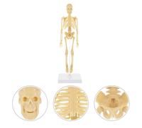 Manichino Da Disegno Modellino Corpo Umano Per Bambini Giocattolo