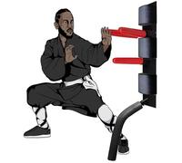 Manichino da parete in legno Wing Chun, attrezzatura da allenamento per Kung Fu con accessori, sacco da boxe per arti marziali per karate, taichi e pratica di combattimento