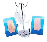 Manichino medico per addestramento cateterizzazione uretrale, modello anatomico femminile e maschile per l'educazione sanitaria e la simulazione di cure di base, set da 2 pezzi