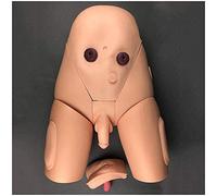 Manichino Modello di insegnamento Simulatore per cateterismo - Male & Female cateterizzazione Modello Medical Practice Training Modello - Infermieristica Insegnamento Simulatore