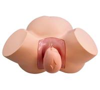 Manichino ostetrico | Modello di formazione per parto e parto | Simulatore di assistenza al paziente per studenti di medicina | Modello di educazione infermieristica | Feto nel bacino in gravidanza