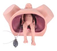 Manichino parto per formazione ostetrica avanzata - Simulatore di consegna di ostetricia e ginecologia per l'educazione infermieristica