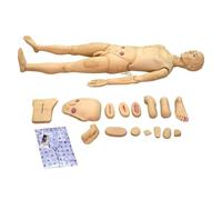 Manichino per addestramento medico, simulatore di cure traumatologiche da 170 cm, con modalità scheletro, per educazione infermieristica e stage