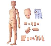 Manichino per la Cura del paziente, manichino, simulatore Multifunzionale per la Cura del paziente Manichino Infermieristico Maschile e Femminile Modello anatomico Umano