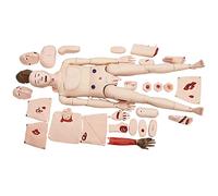 Manichino Professionale Multifunzionale per traumi Manichino dimostrativo Modello Umano anatomico per Uomini e Donne