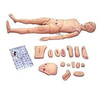 Manichino scientifico per la Cura del paziente, simulatore Multifunzionale per la Cura del paziente Manichino Infermieristico Maschile e Femminile Modello anatomico Umano