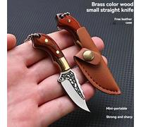Manico in legno Piccolo coltello dritto da campeggio all'aperto Coltello da frutta affilato per autodifesa Coltello da carne a mano Unwrap Mini coltello regalo pendente