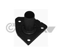 Manicotto Di Guida Frizione Cautex 031119 per Citroën Fiat Lancia Peugeot