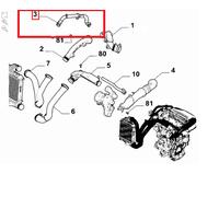 MANICOTTO FLESSIBILE DA INTERCOOLER A COLLETTORE ASP. STELLANTIS 9678747680