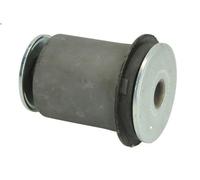 Manicotto, montaggio del braccio di controllo TEDGUM per 4 RUNNER IV 4 2002-2009