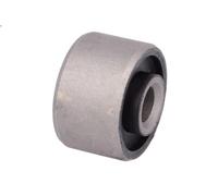 Manicotto, montaggio del braccio di controllo TEDGUM per PACIFICA 4 2006-2007