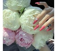 Manicure che migliora il temperamento, scrub rosa-rosso semplice e bianco, grande diamante, esplosione e flash, ventaglio della dea, temperamento gentile e dolce, armatura pura da indossare a mano.(S)