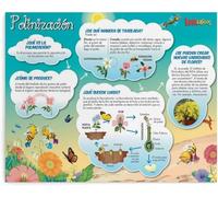 Manifesto grafico della conoscenza scientifica del processo di impollinazione, decorazione da parete, cartello in metallo, arte chic, 8x12 pollici