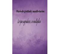 Manifiesta tus ingresos ideales: diario de gratitud para manifestar tus sueños y alcanzar ingresos ideales.": Cuaderno de Manifestación: 130 días de ... Atraer la Prosperidad Financiera que Mereces.