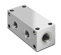 Manifolds Galvanizzati A Schema Parallelo Idraulico, Porte BSP, 2 - 9 Stazioni