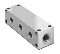Manifolds Galvanizzati A Schema Parallelo Idraulico, Porte BSP, 2 - 9 Stazioni