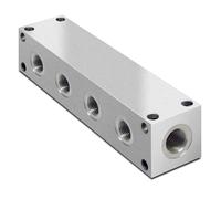Manifolds Galvanizzati A Schema Parallelo Idraulico, Porte BSP, 2 - 9 Stazioni
