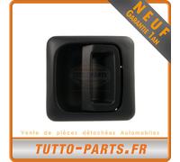 Maniglia All'Aperto Posteriore Sinistra Destra Jumper Boxer - 735307400 9101S5