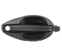 Maniglia della portiera BLIC 6010-20-040402P