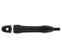 Maniglia della portiera BLIC 6010-12-052401P