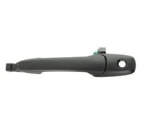 BLIC Maniglia porta 6010-14-037401P anteriore Sx