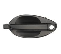 Maniglia della portiera BLIC 6010-20-040401P