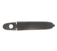 BLIC 6010-03-043401P Maniglia esterna sportello per FORD