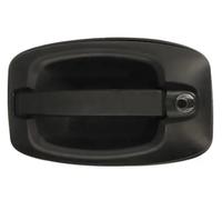 Maniglia anteriore Sx nero 6010-30-003401P BLIC per IVECO DAILY VI Furgone