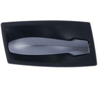 Maniglia Apriporta Interna per Bmw Serie 5 E60 - E61 2003-2009 Destra