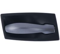 Maniglia Apriporta Interna per Bmw Serie 5 E60 - E61 2003-2009 Sinistra